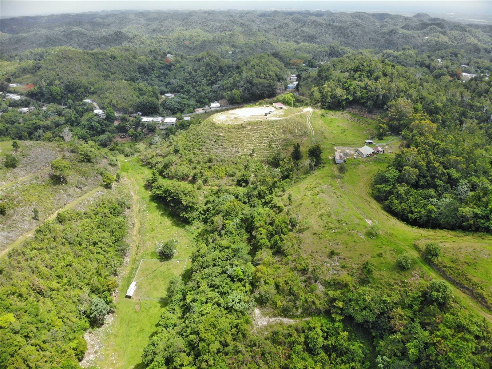 Carr 626 BO CALICHOZA, ARECIBO, PR — photo 3