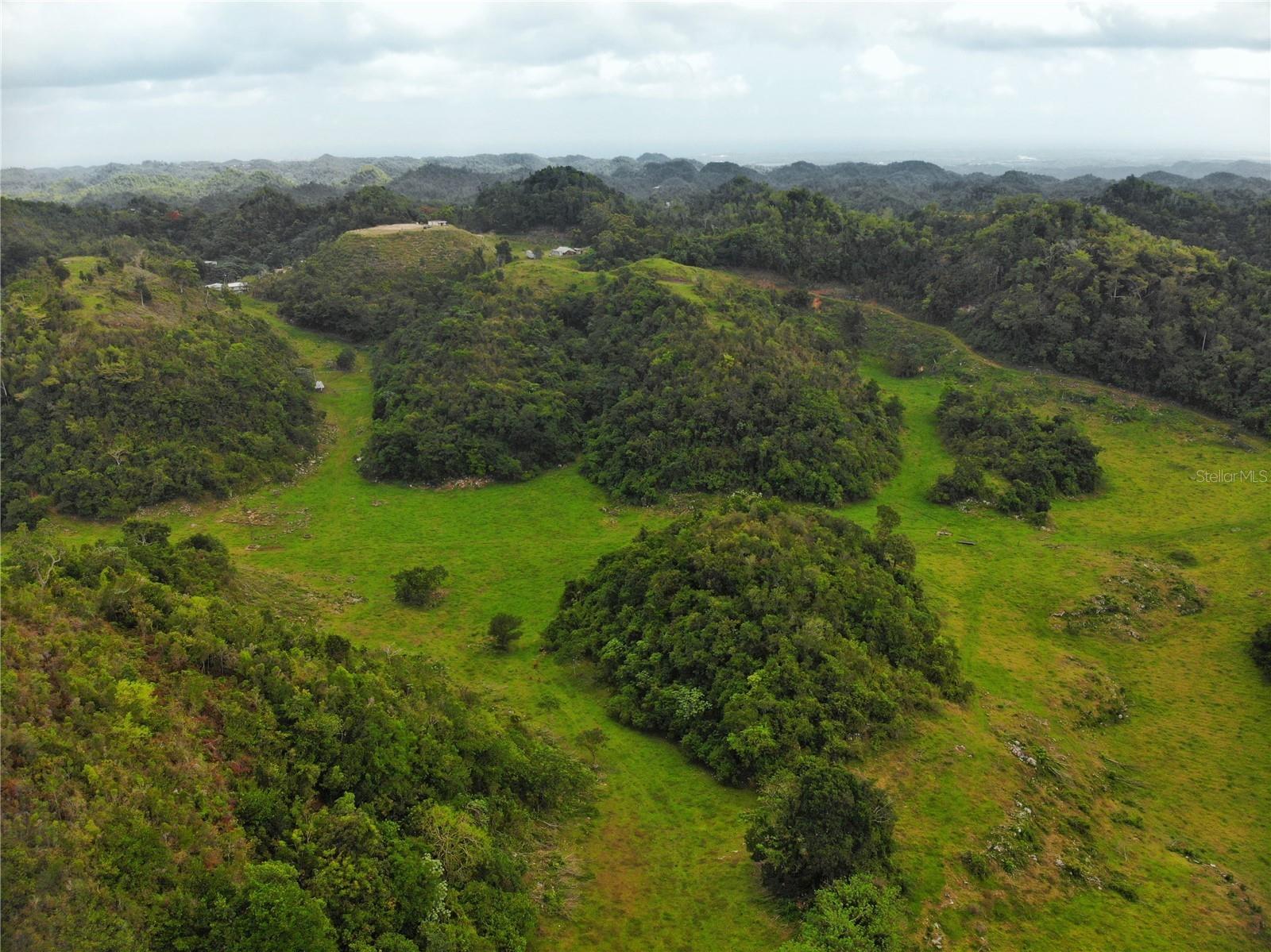 Carr 626 BO CALICHOZA, ARECIBO, PR — photo 4