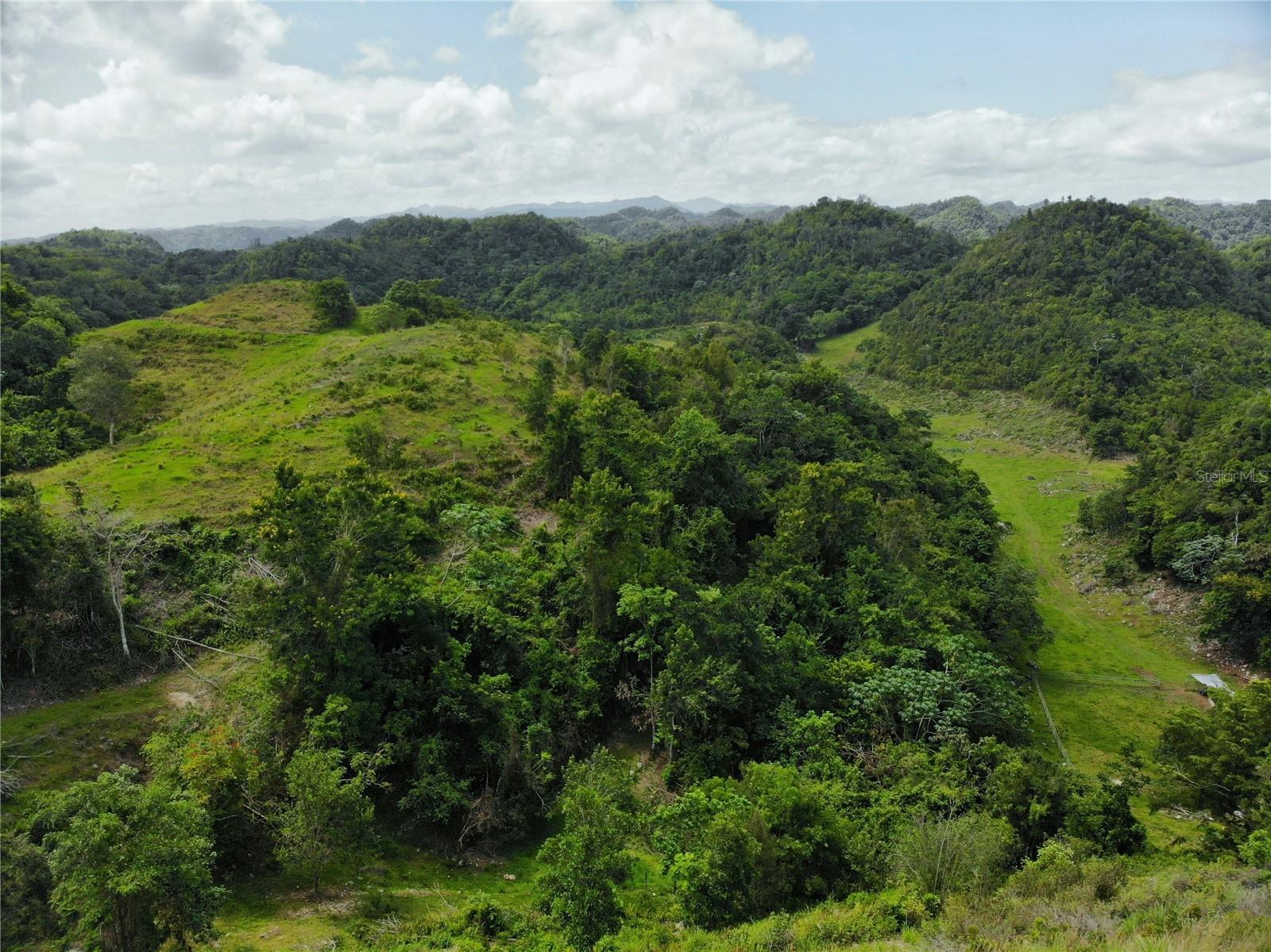 Carr 626 BO CALICHOZA, ARECIBO, PR — photo 5