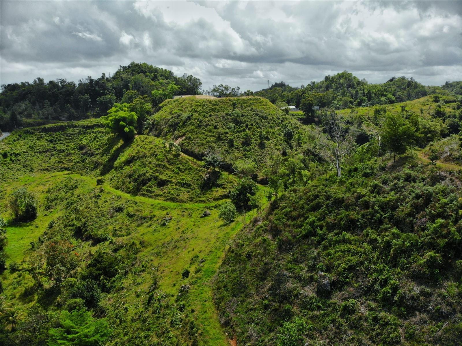 Carr 626 BO CALICHOZA, ARECIBO, PR — photo 6