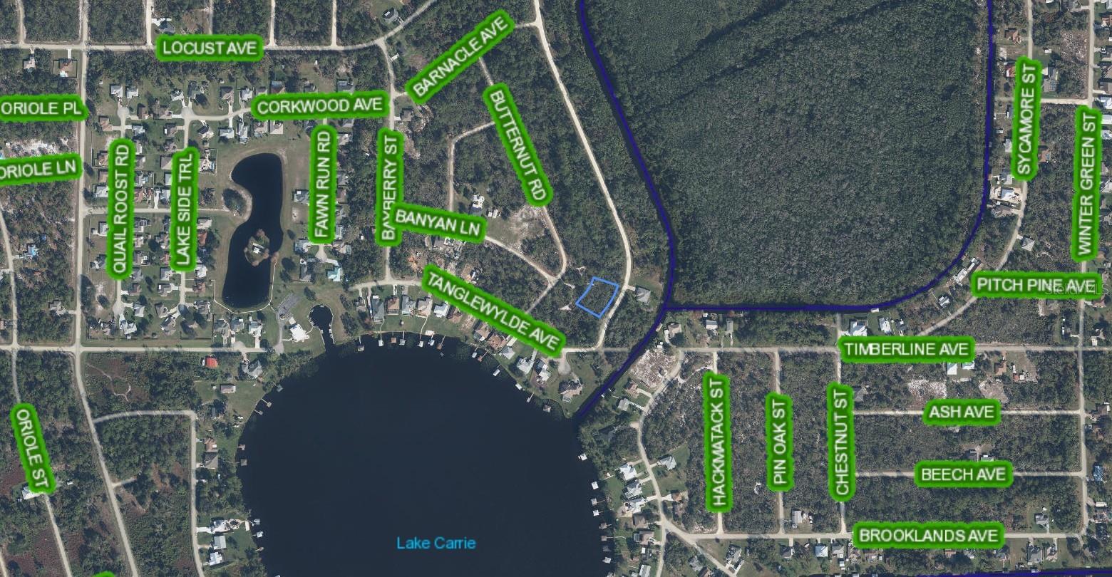 300 RAINBOW DR, LAKE PLACID, FL — photo 3