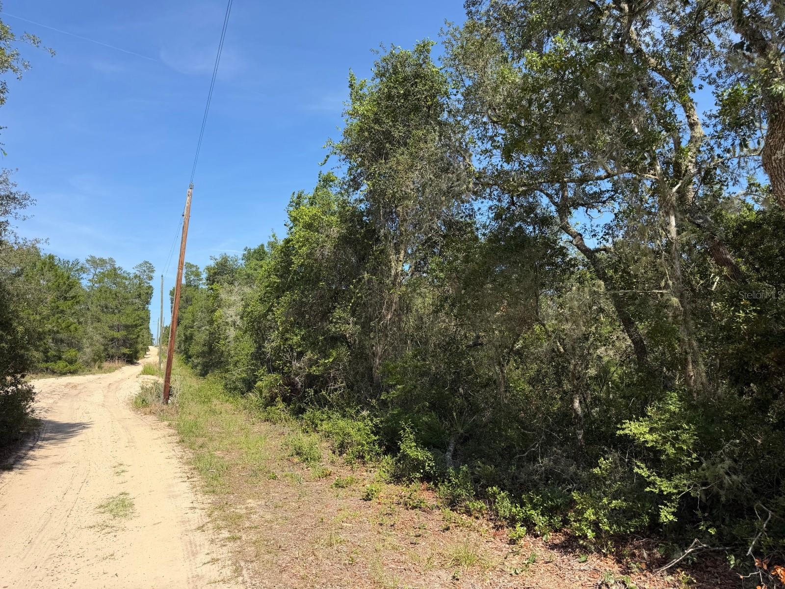 TBD NE 234 PL, FORT MC COY, FL — photo 2