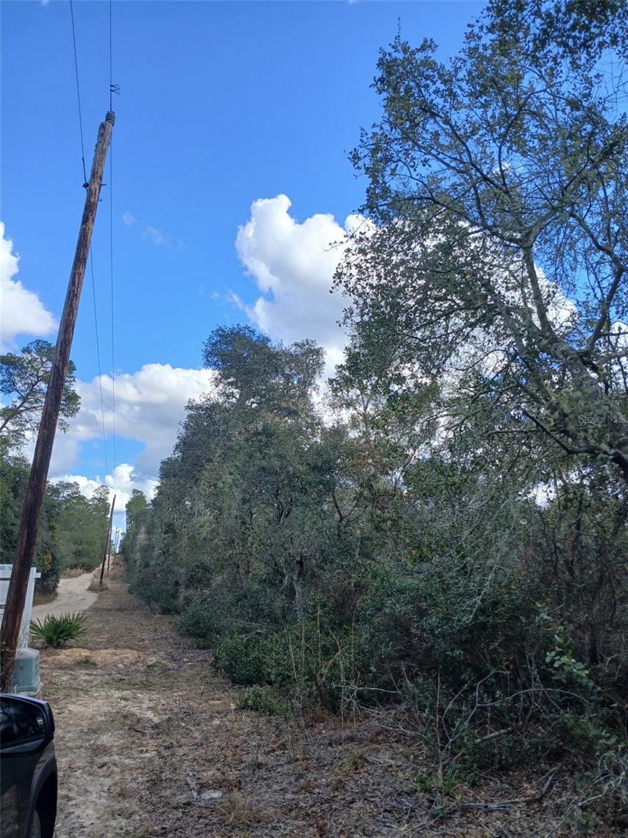 TBD NE 234 PL, FORT MC COY, FL — photo 7
