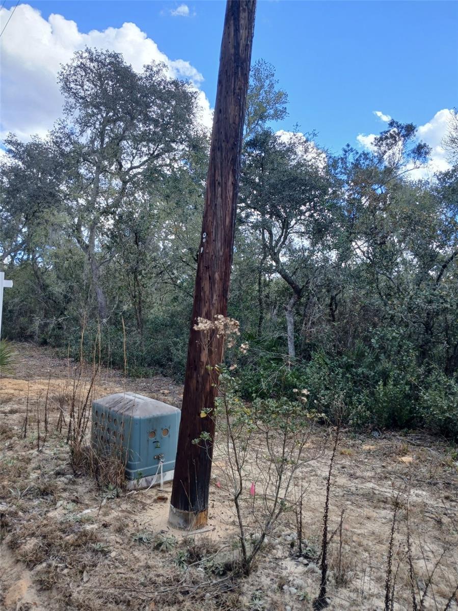 TBD NE 234 PL, FORT MC COY, FL — photo 8