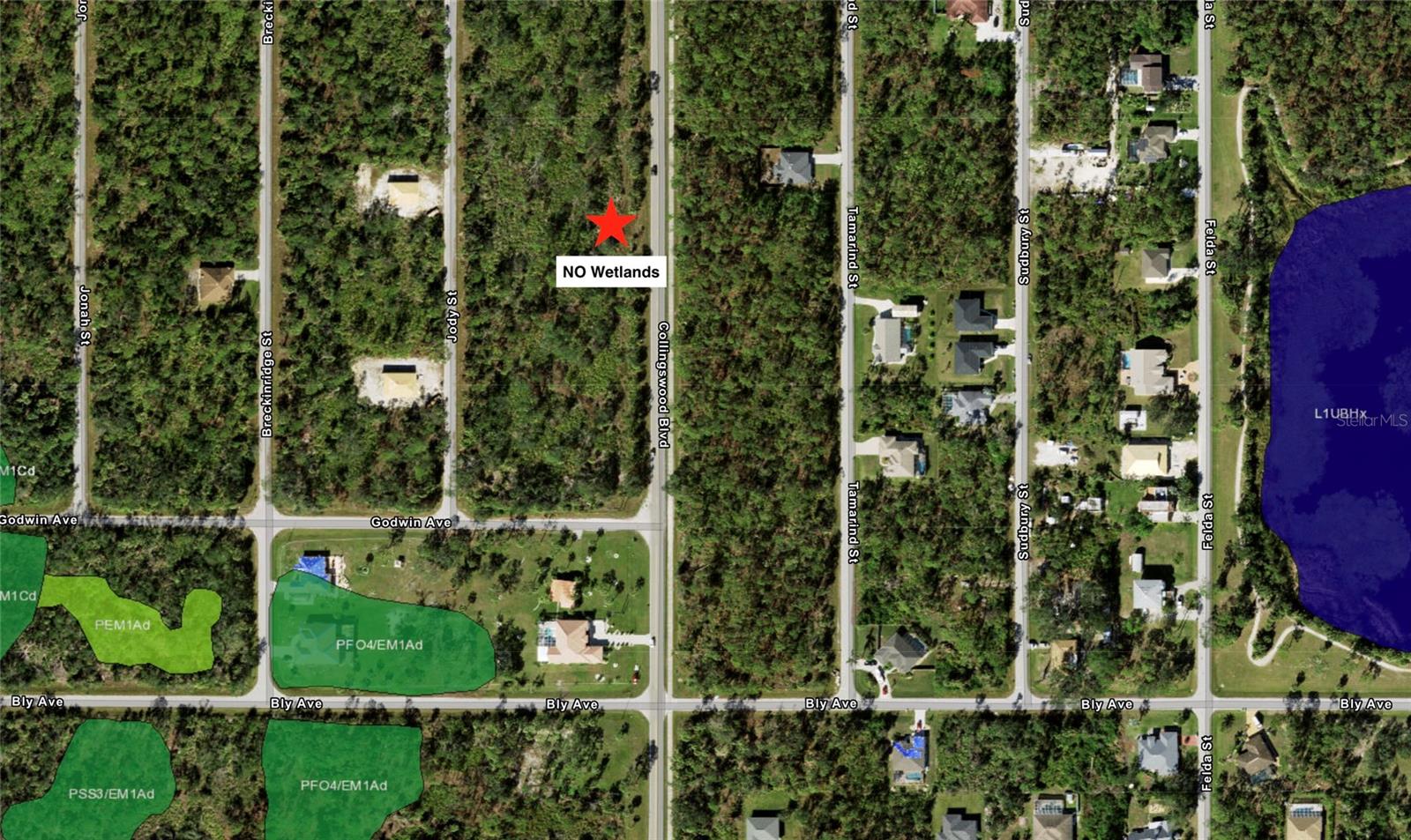 3129 COLLINGSWOOD BLVD, PORT CHARLOTTE, FL — photo 17