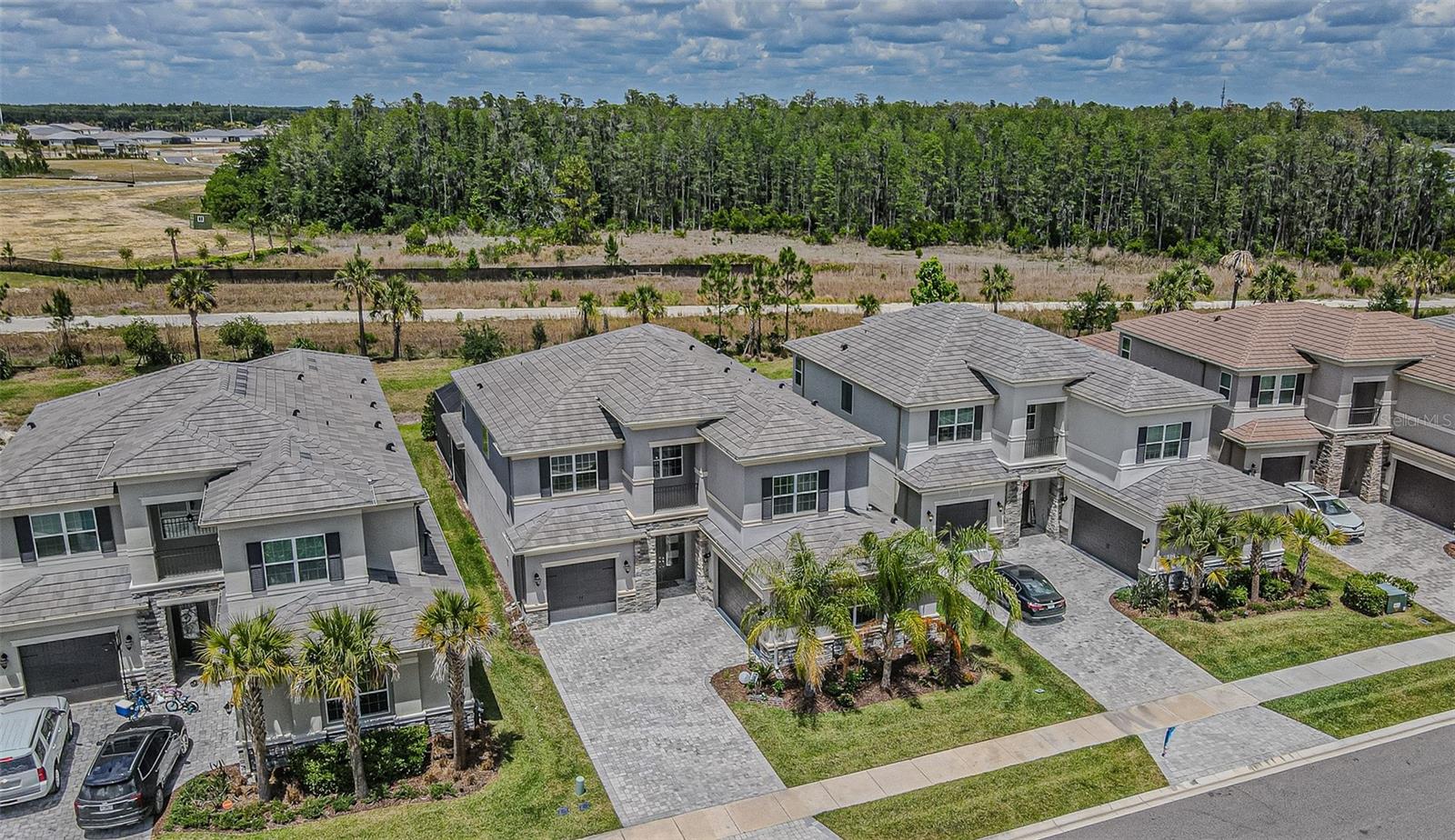 32353 ROSEWOOD MEADOW LN, WESLEY CHAPEL, FL — photo 2