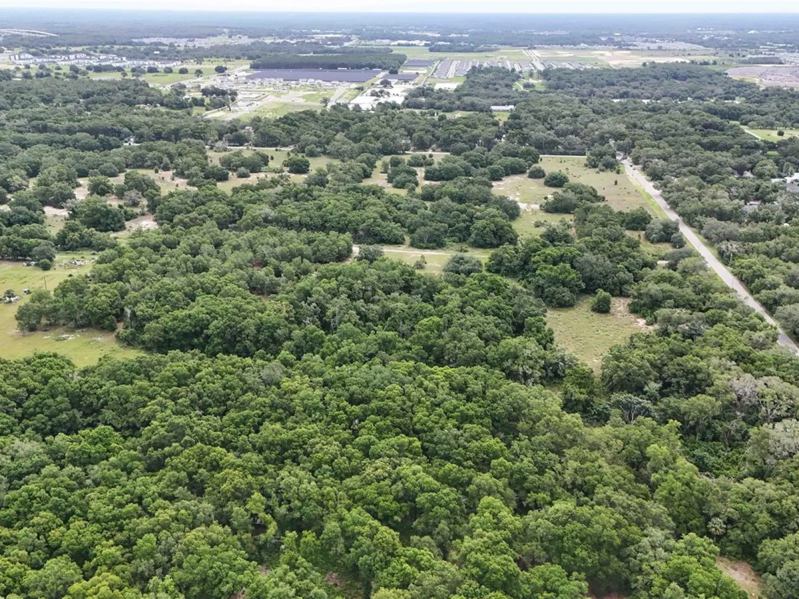 5501 CEMETERY & SADLER RDS, MOUNT DORA, FL — photo 9