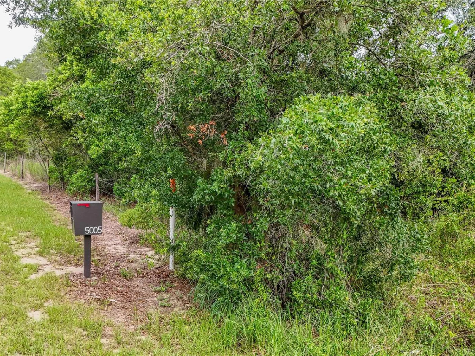 5501 CEMETERY & SADLER RDS, MOUNT DORA, FL — photo 14