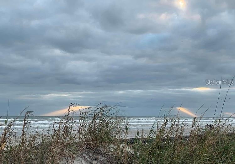 813 N ATLANTIC AVE, NEW SMYRNA BEACH, FL — photo 15