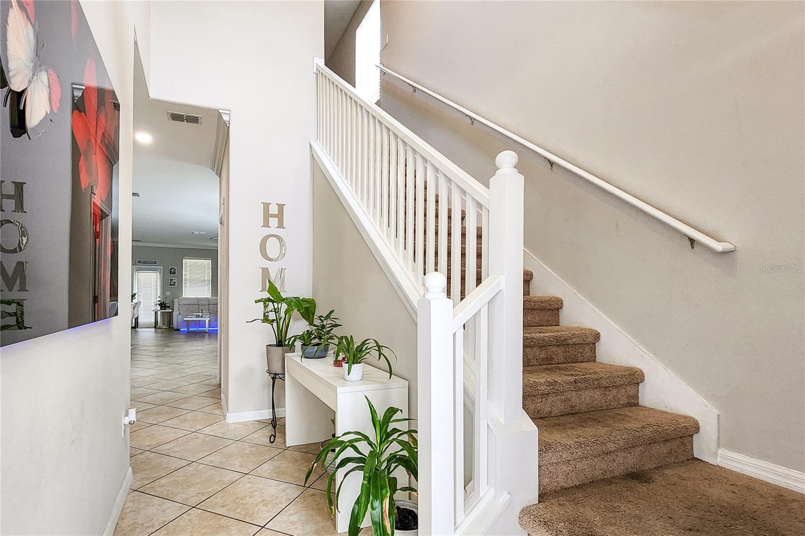 949 TERRA VISTA ST, BRANDON, FL — photo 9