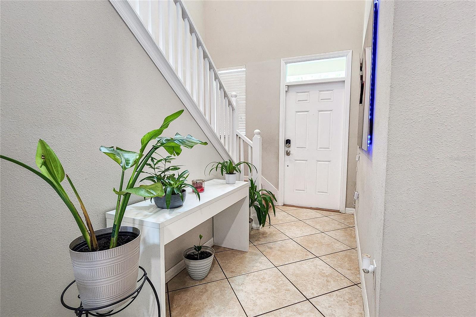 949 TERRA VISTA ST, BRANDON, FL — photo 10