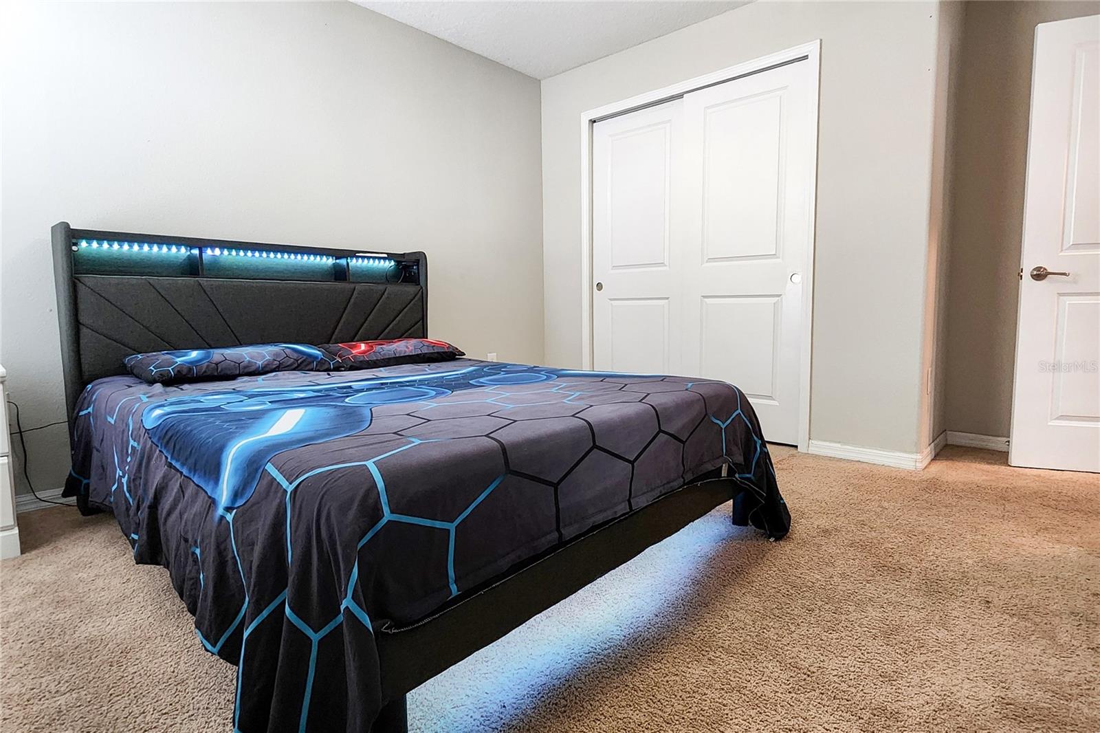 949 TERRA VISTA ST, BRANDON, FL — photo 31