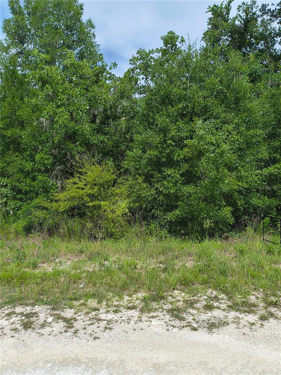 CAYMAN RD, WEEKI WACHEE, FL — photo 4