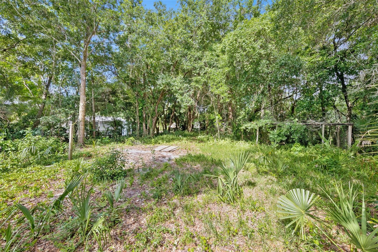 1318 COLETTA DR, ORLANDO, FL — photo 3