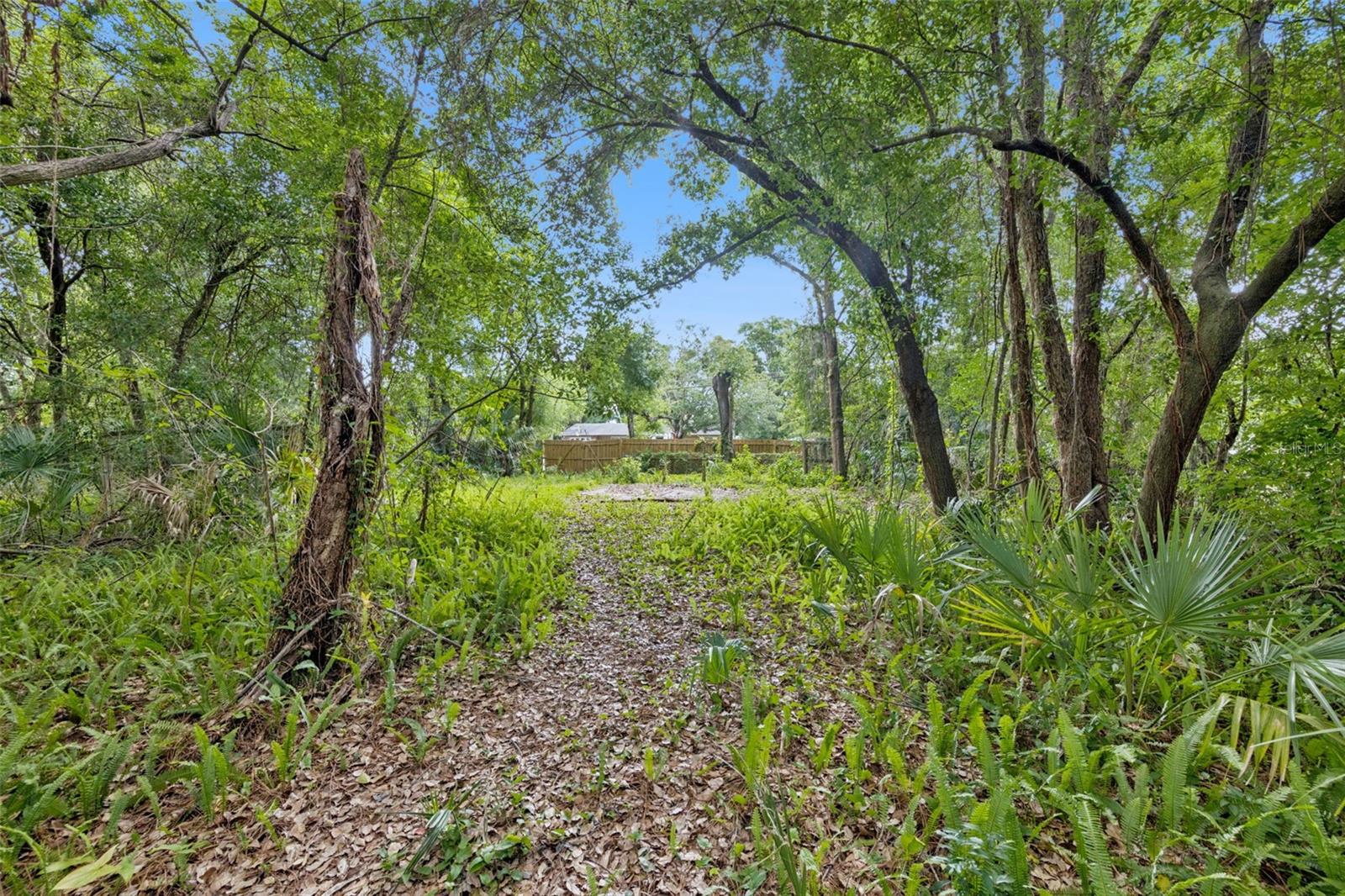 1318 COLETTA DR, ORLANDO, FL — photo 4