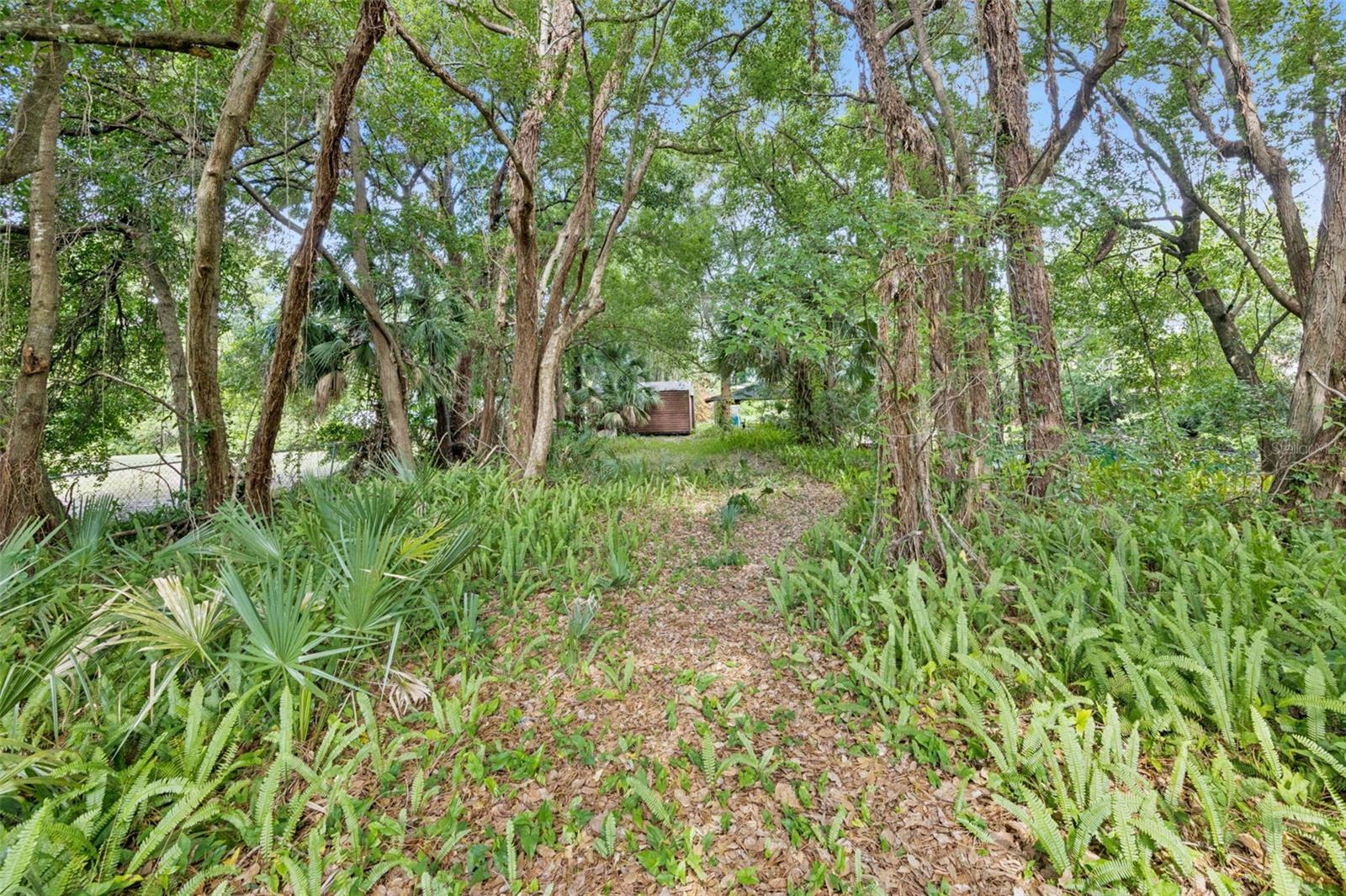 1318 COLETTA DR, ORLANDO, FL — photo 5