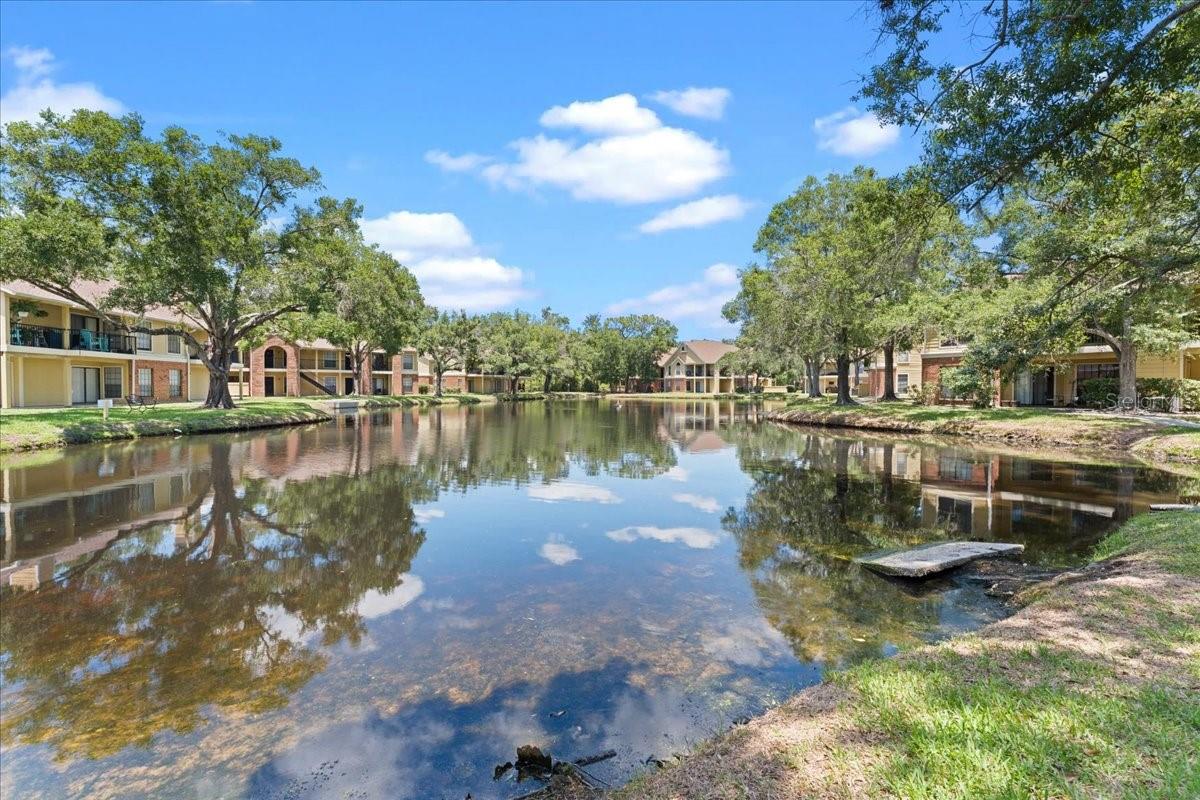 8641 FANCY FINCH DR #102, TAMPA, FL — photo 23