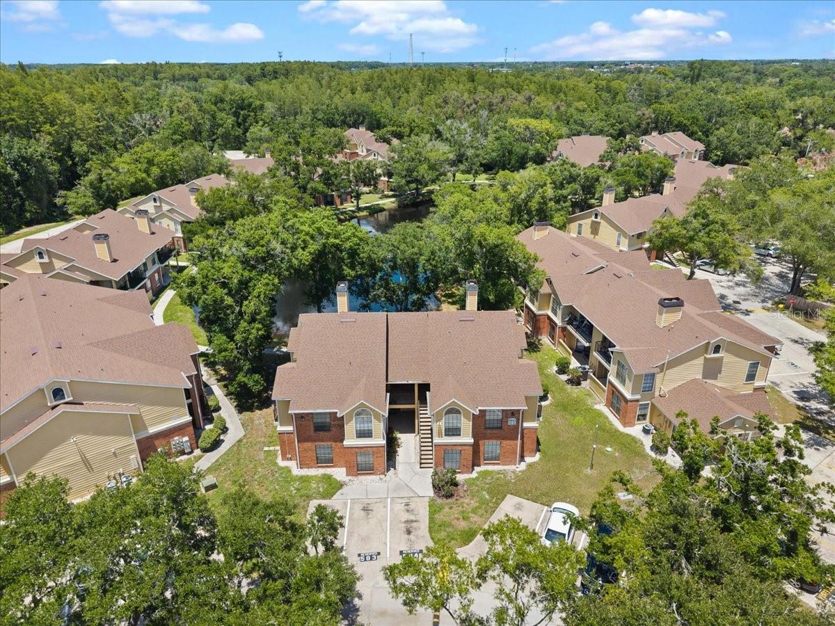 8641 FANCY FINCH DR #102, TAMPA, FL — photo 25