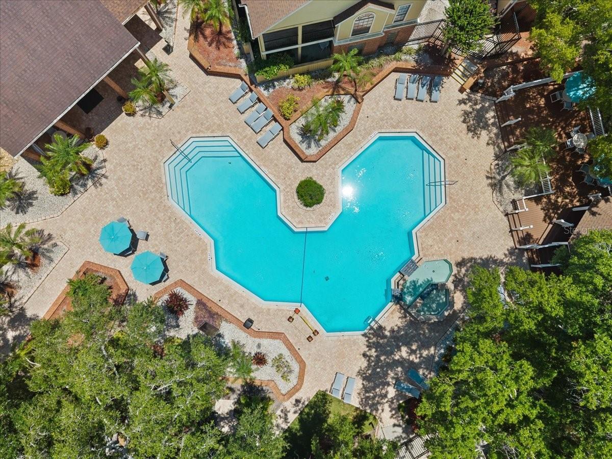8641 FANCY FINCH DR #102, TAMPA, FL — photo 26
