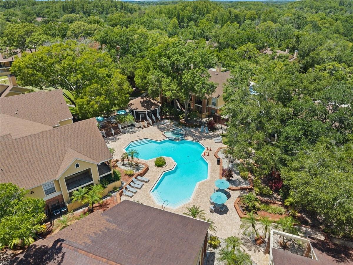 8641 FANCY FINCH DR #102, TAMPA, FL — photo 28