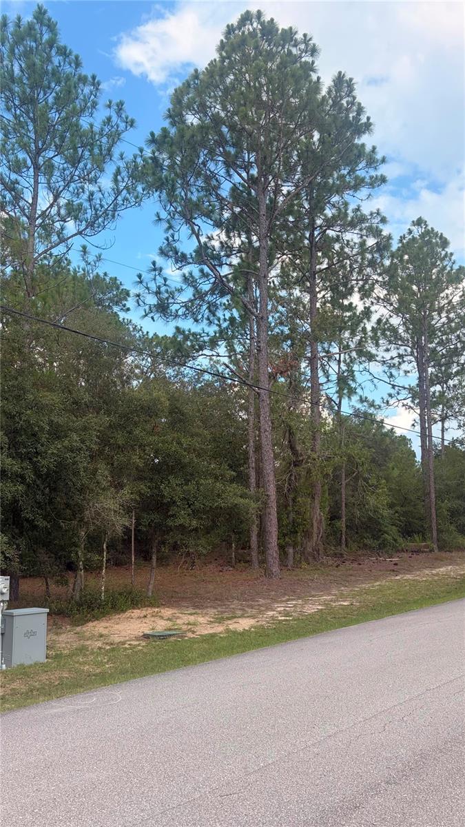 SW 207TH CT, DUNNELLON, FL — photo 3
