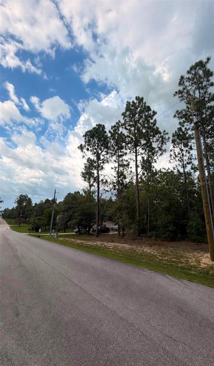 SW 207TH CT, DUNNELLON, FL — photo 4