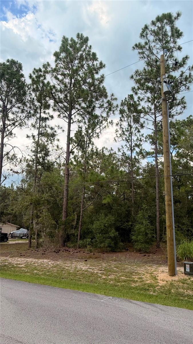 SW 207TH CT, DUNNELLON, FL — photo 5