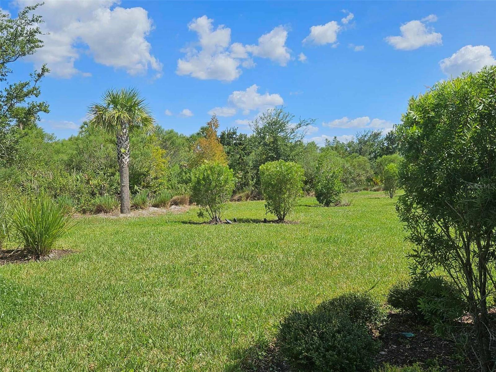 3270 FRANCOA DR, ODESSA, FL — photo 28