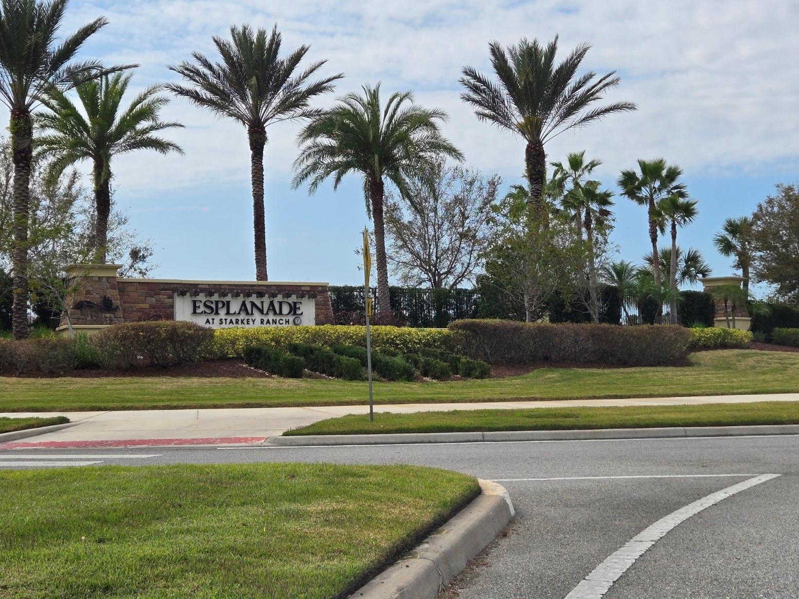 3270 FRANCOA DR, ODESSA, FL — photo 29