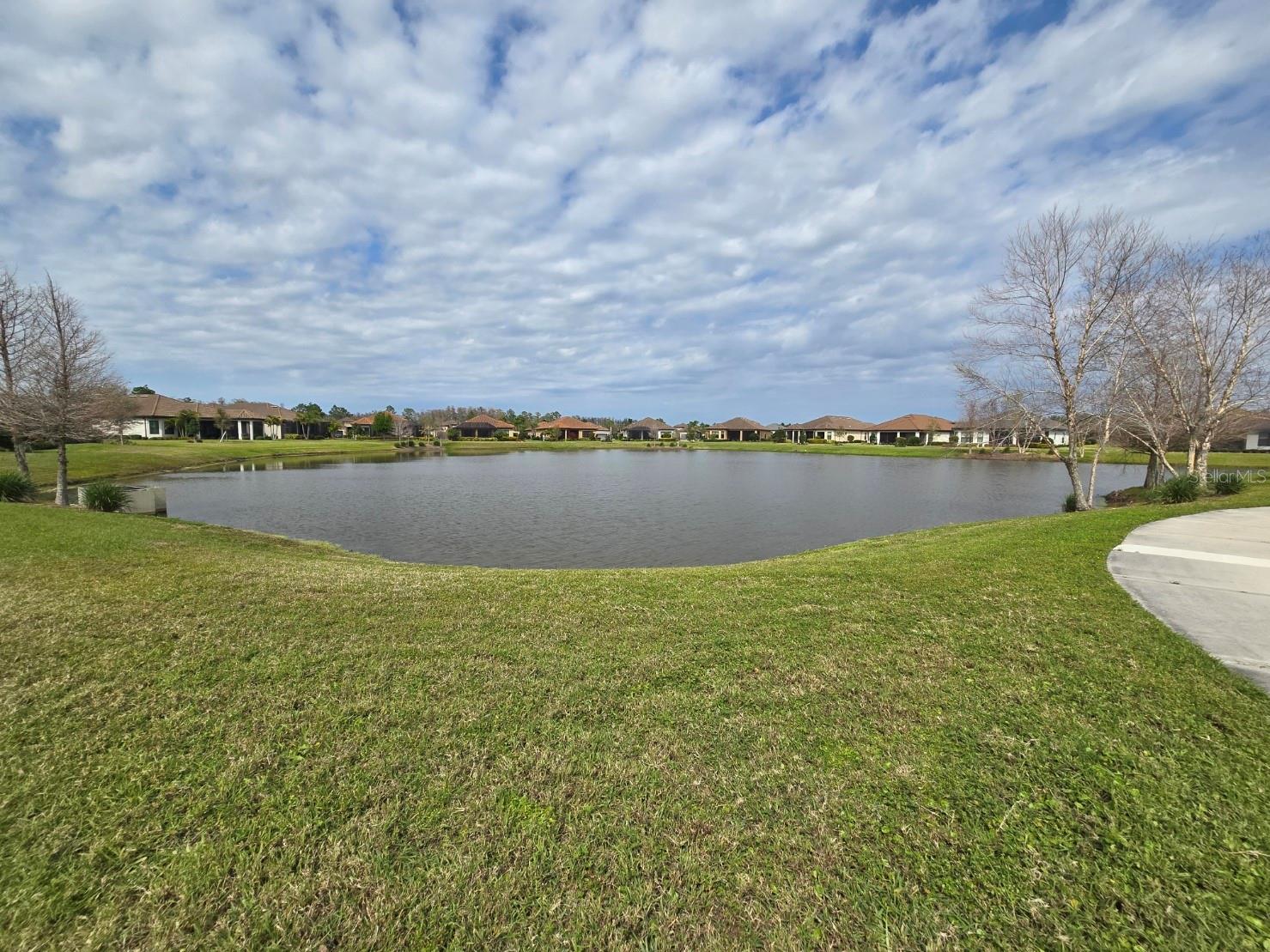 3270 FRANCOA DR, ODESSA, FL — photo 50