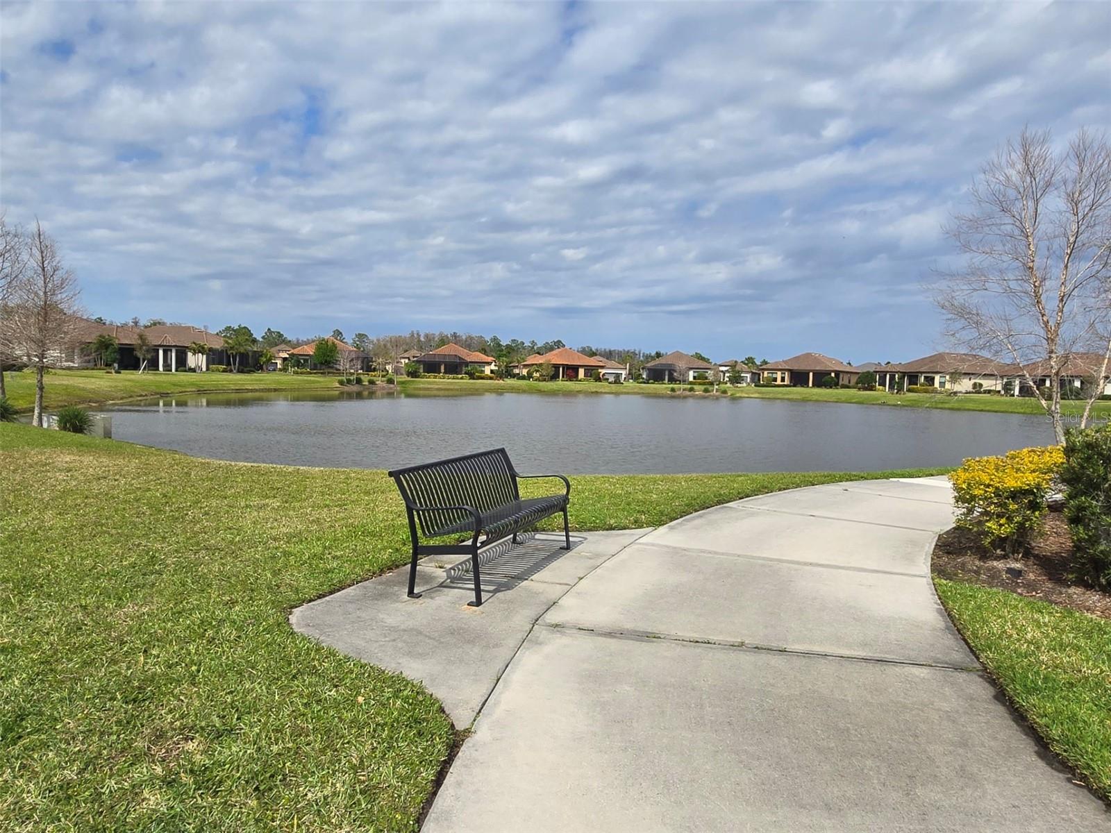 3270 FRANCOA DR, ODESSA, FL — photo 51