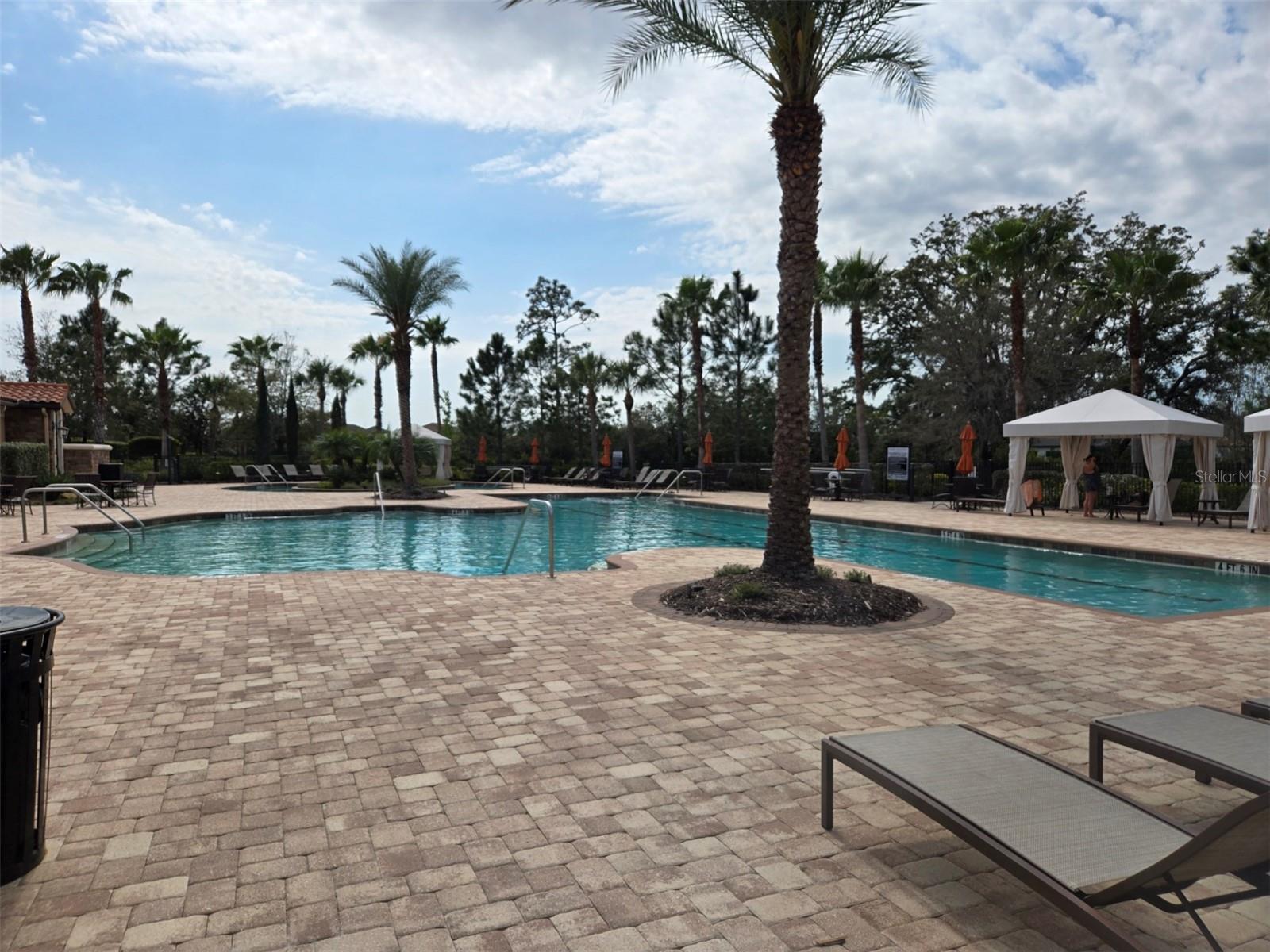 3270 FRANCOA DR, ODESSA, FL — photo 40
