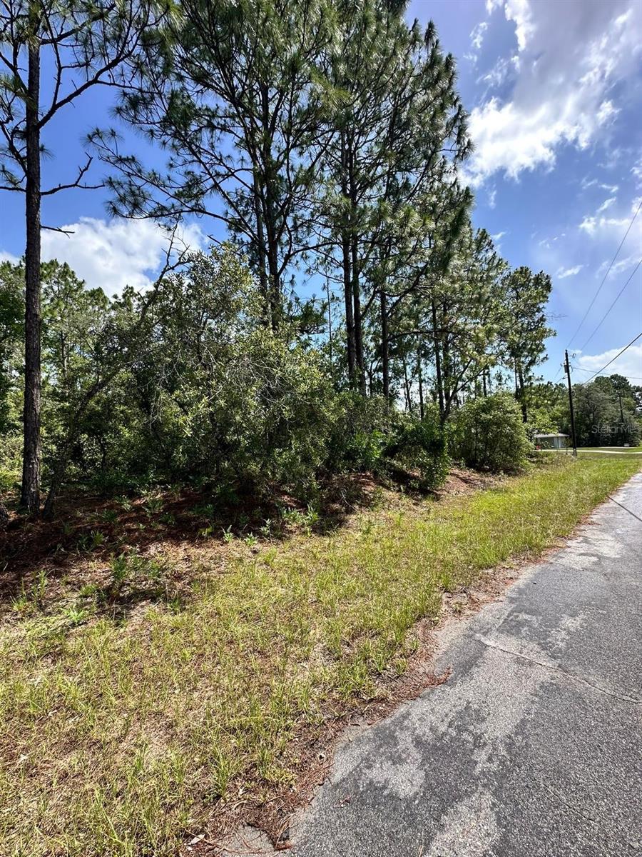 7398 N VERONICA DR, DUNNELLON, FL — photo 2