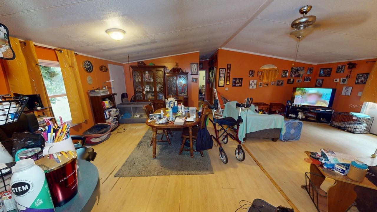 30501 CLEARVIEW DR, WESLEY CHAPEL, FL — photo 3