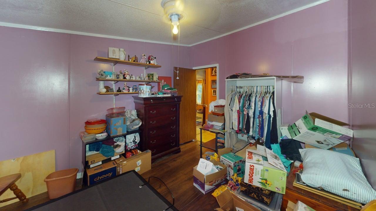 30501 CLEARVIEW DR, WESLEY CHAPEL, FL — photo 11
