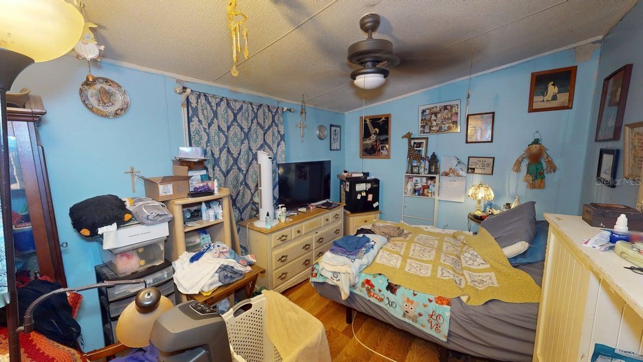 30501 CLEARVIEW DR, WESLEY CHAPEL, FL — photo 12