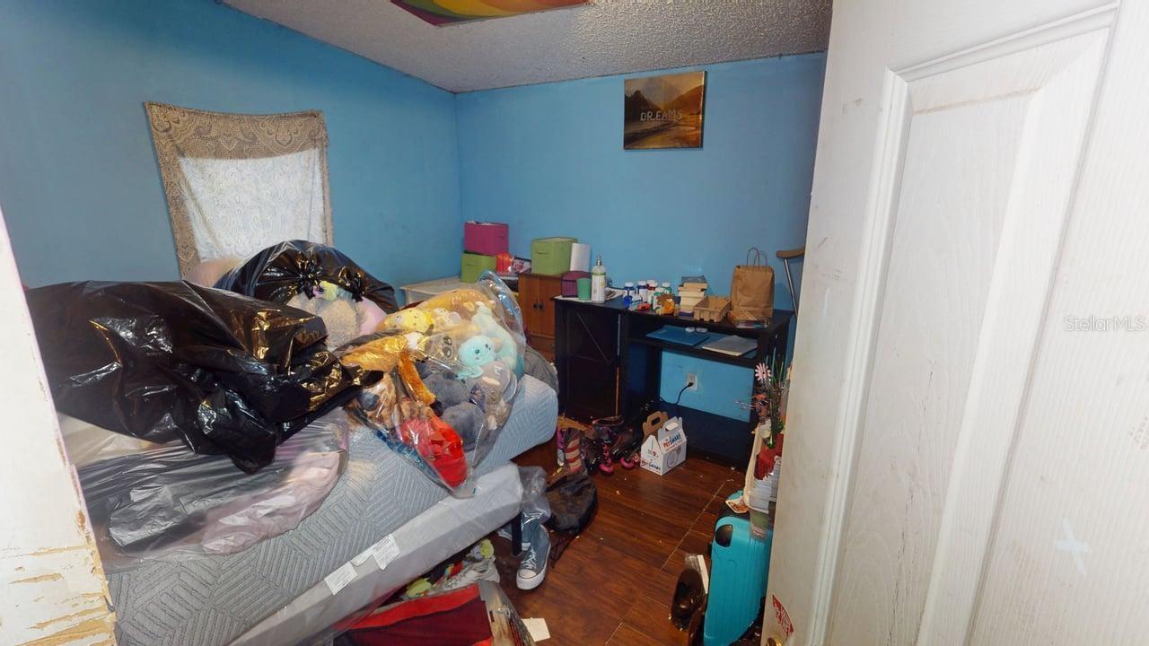30501 CLEARVIEW DR, WESLEY CHAPEL, FL — photo 27