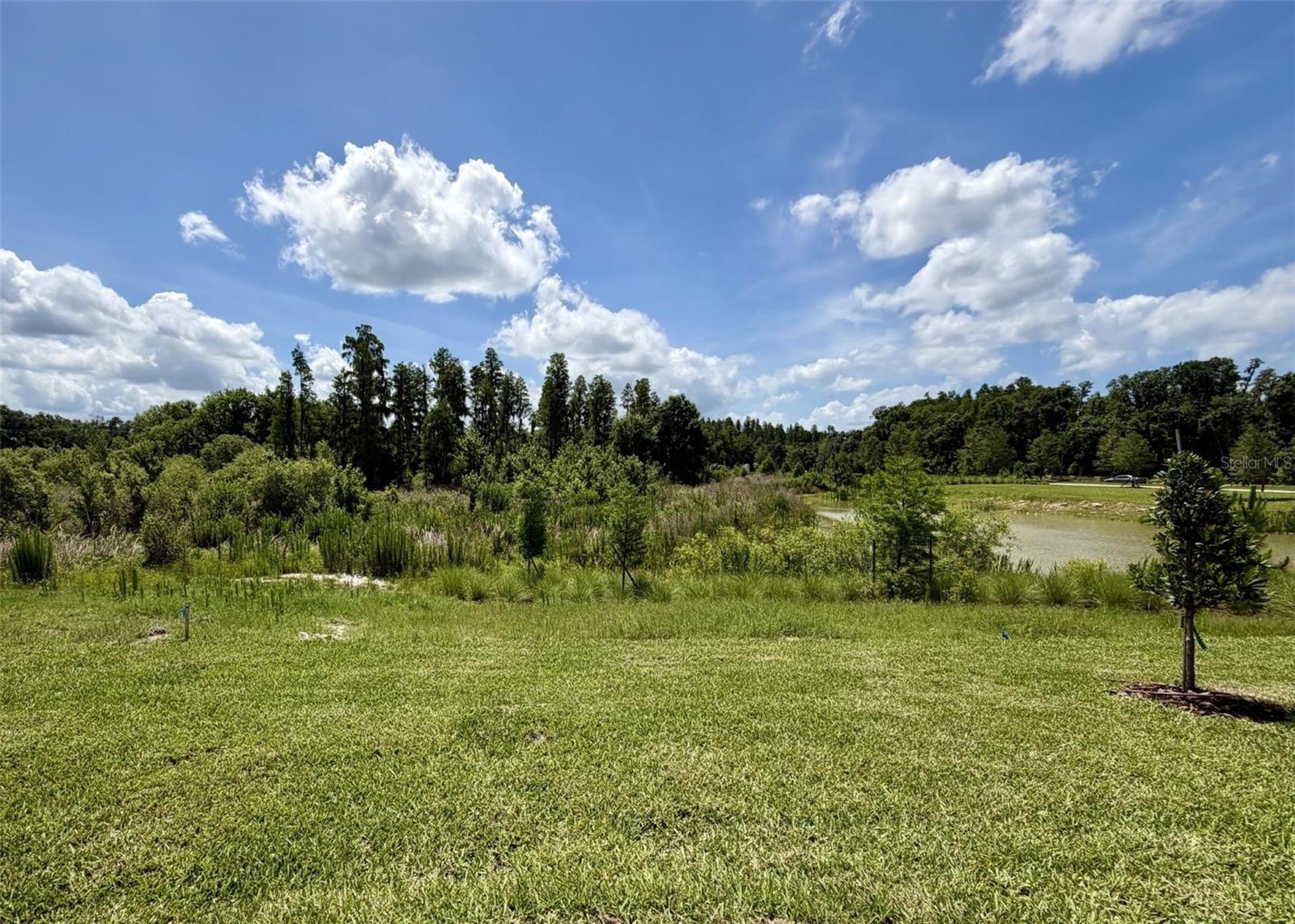 1483 BREKEY WAY, ZEPHYRHILLS, FL — photo 17