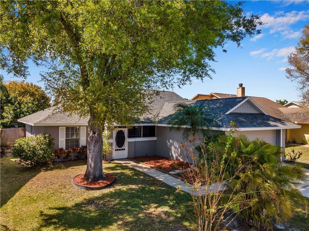 7110 HOLLOWELL DR, TAMPA, FL — photo 3