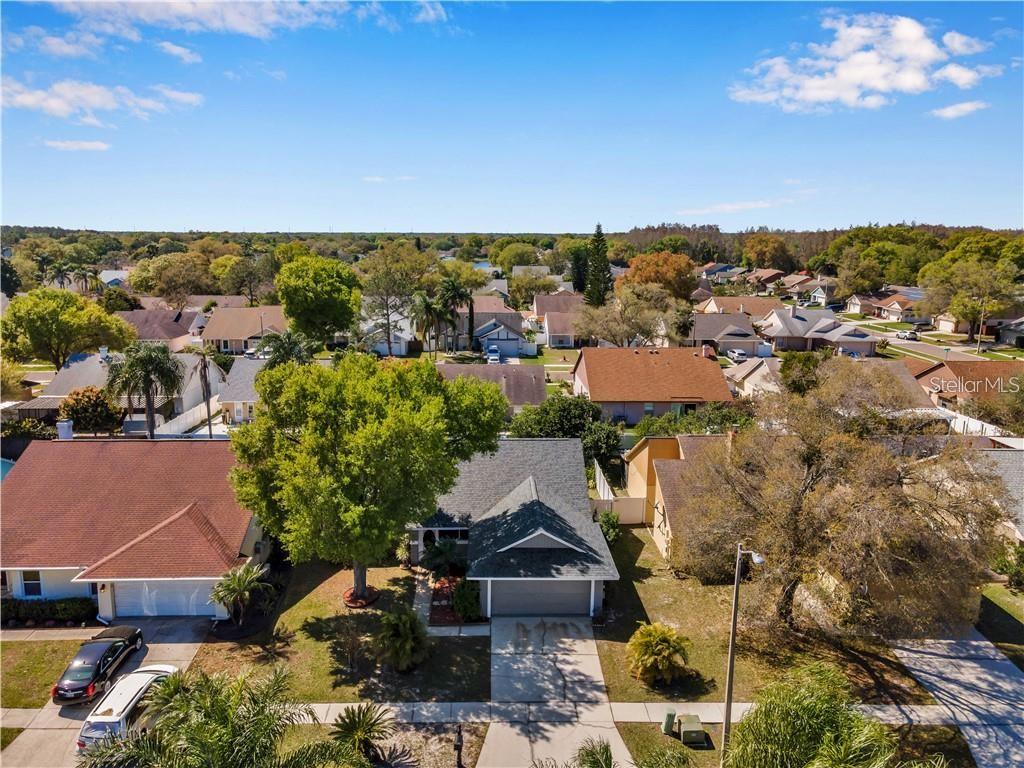 7110 HOLLOWELL DR, TAMPA, FL — photo 38