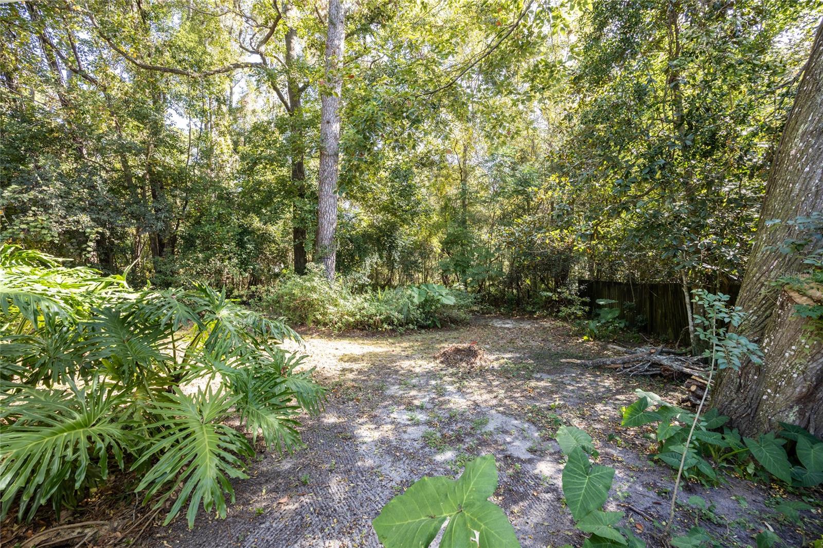 749 NW 34TH ST, GAINESVILLE, FL — photo 37