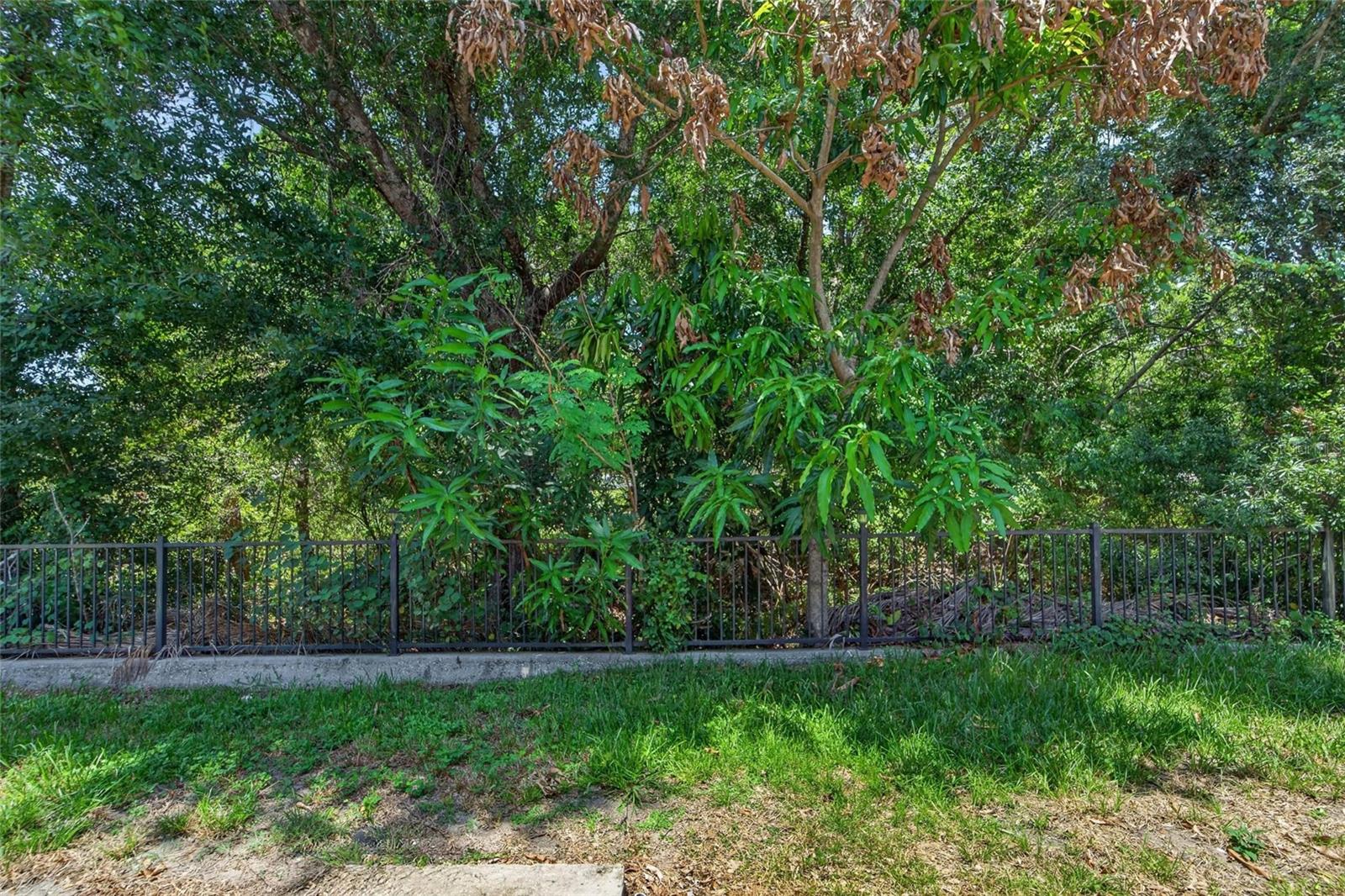 10818 BRICKSIDE CT, RIVERVIEW, FL — photo 22