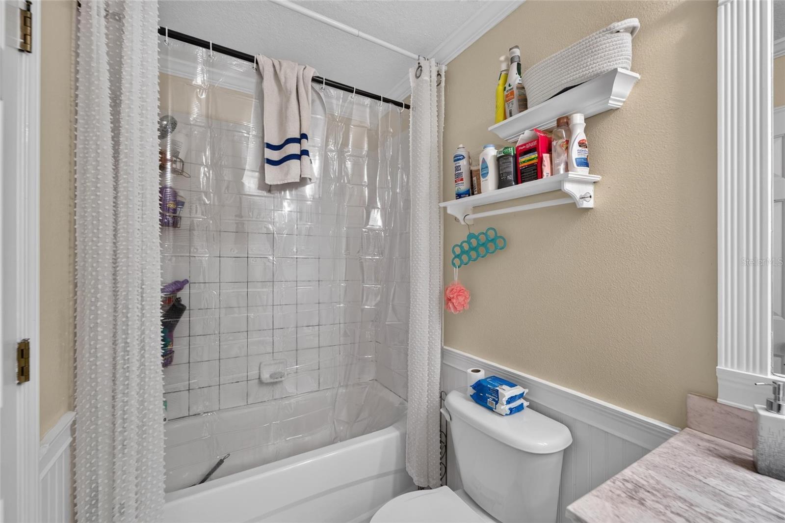 10818 BRICKSIDE CT, RIVERVIEW, FL — photo 33