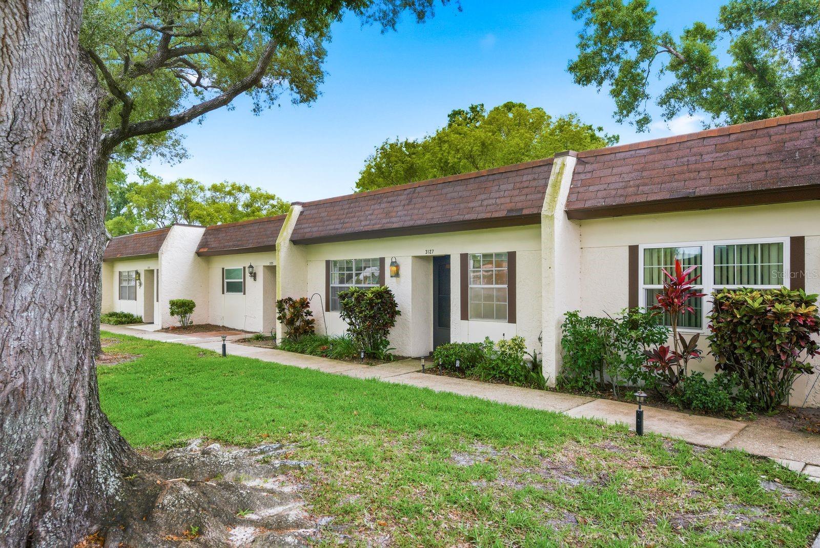 3127 MISSION GROVE DR #3127, PALM HARBOR, FL — photo 3