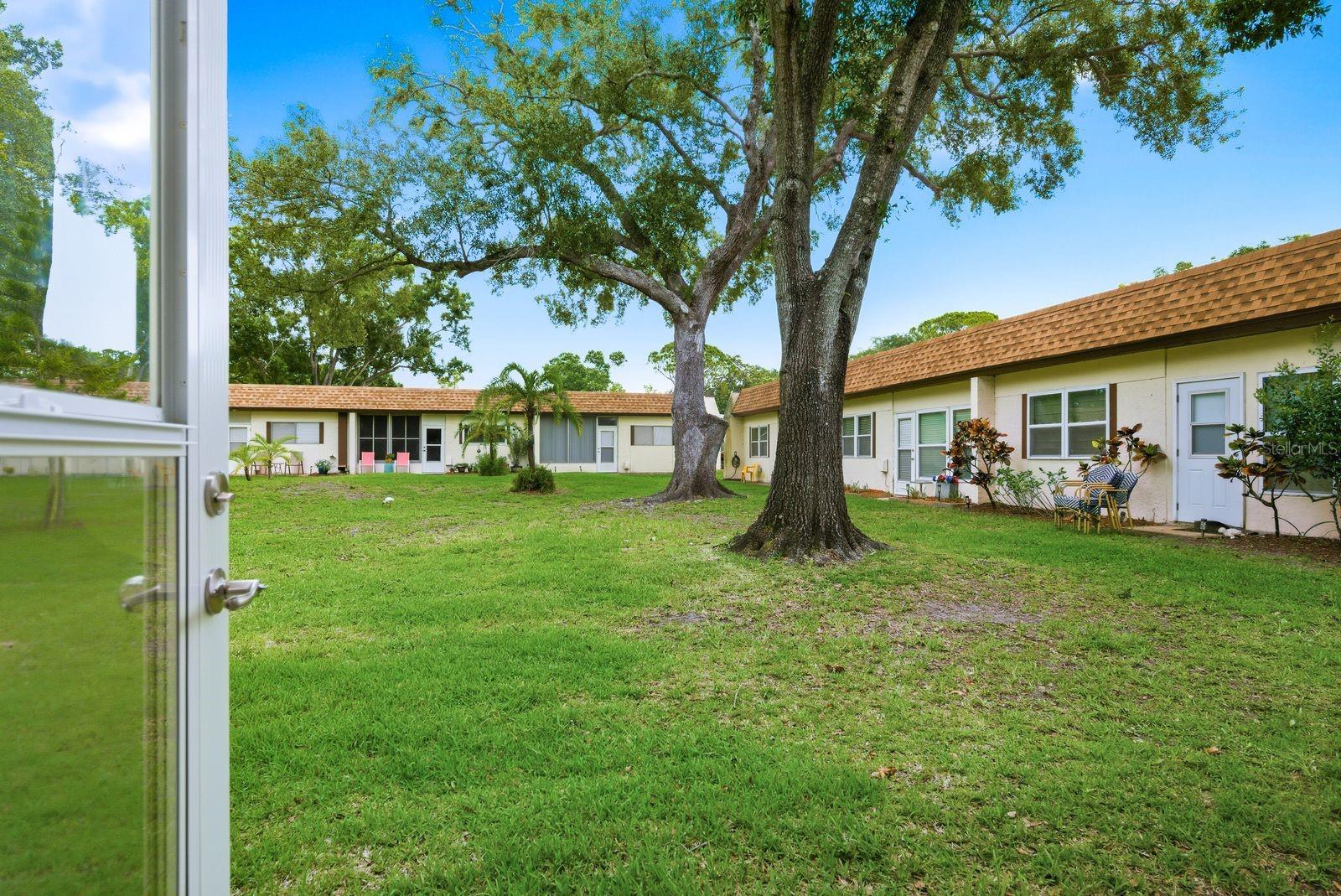 3127 MISSION GROVE DR #3127, PALM HARBOR, FL — photo 24