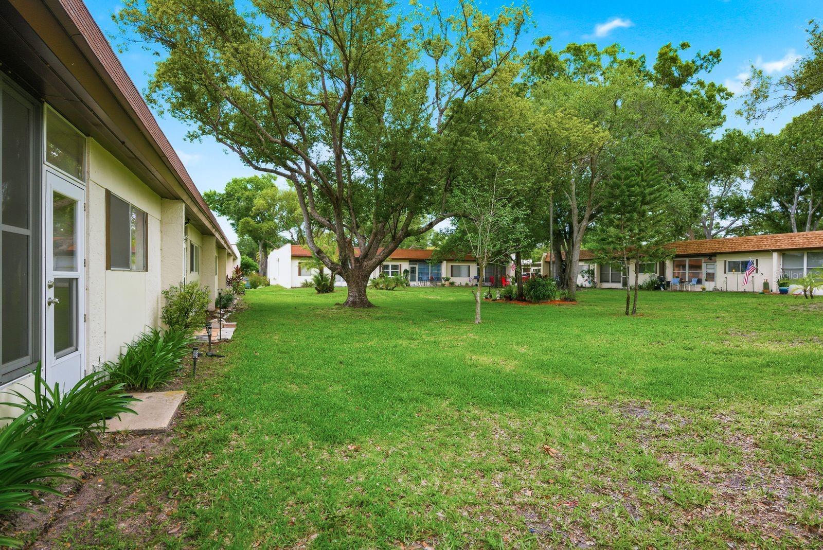 3127 MISSION GROVE DR #3127, PALM HARBOR, FL — photo 25