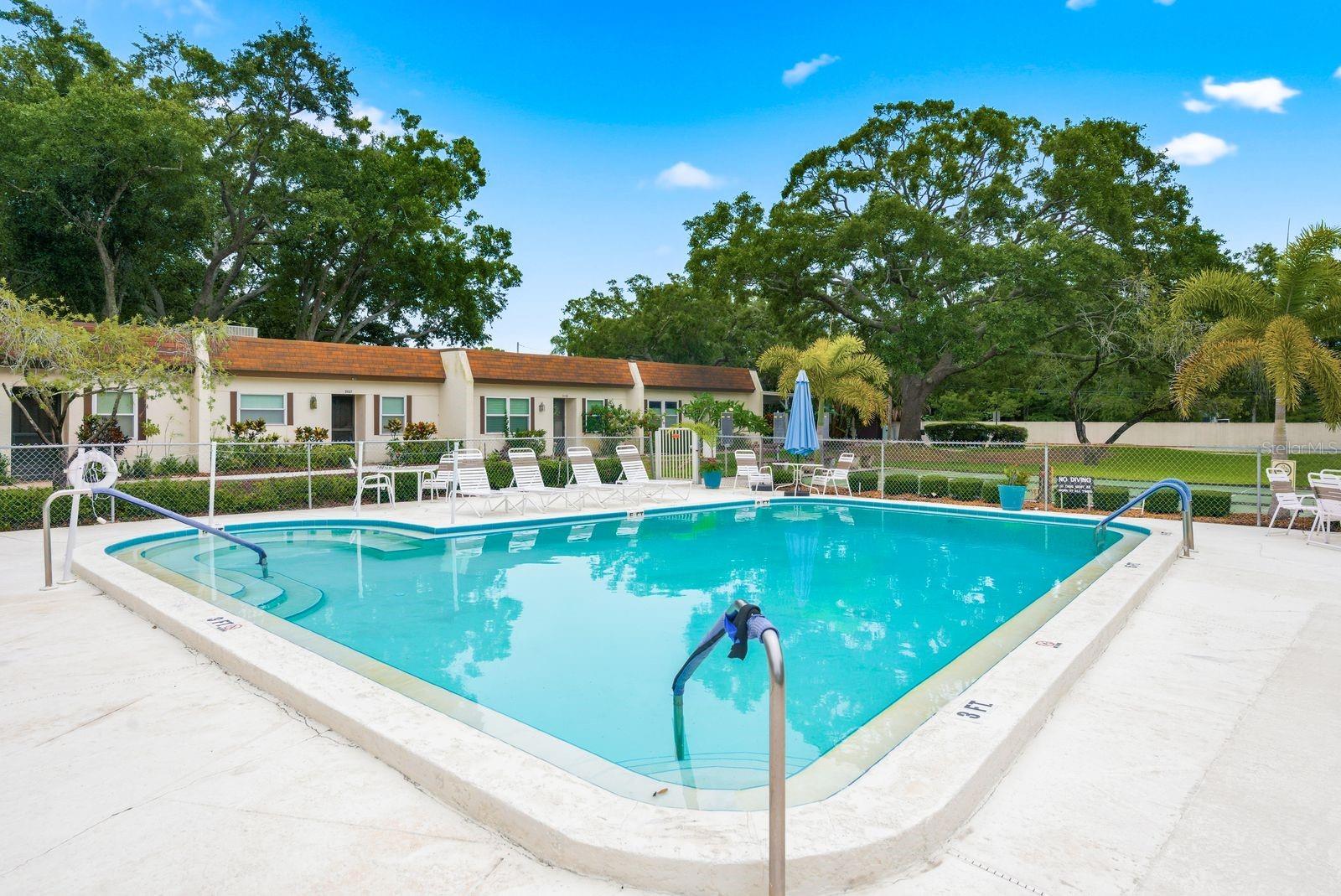 3127 MISSION GROVE DR #3127, PALM HARBOR, FL — photo 32
