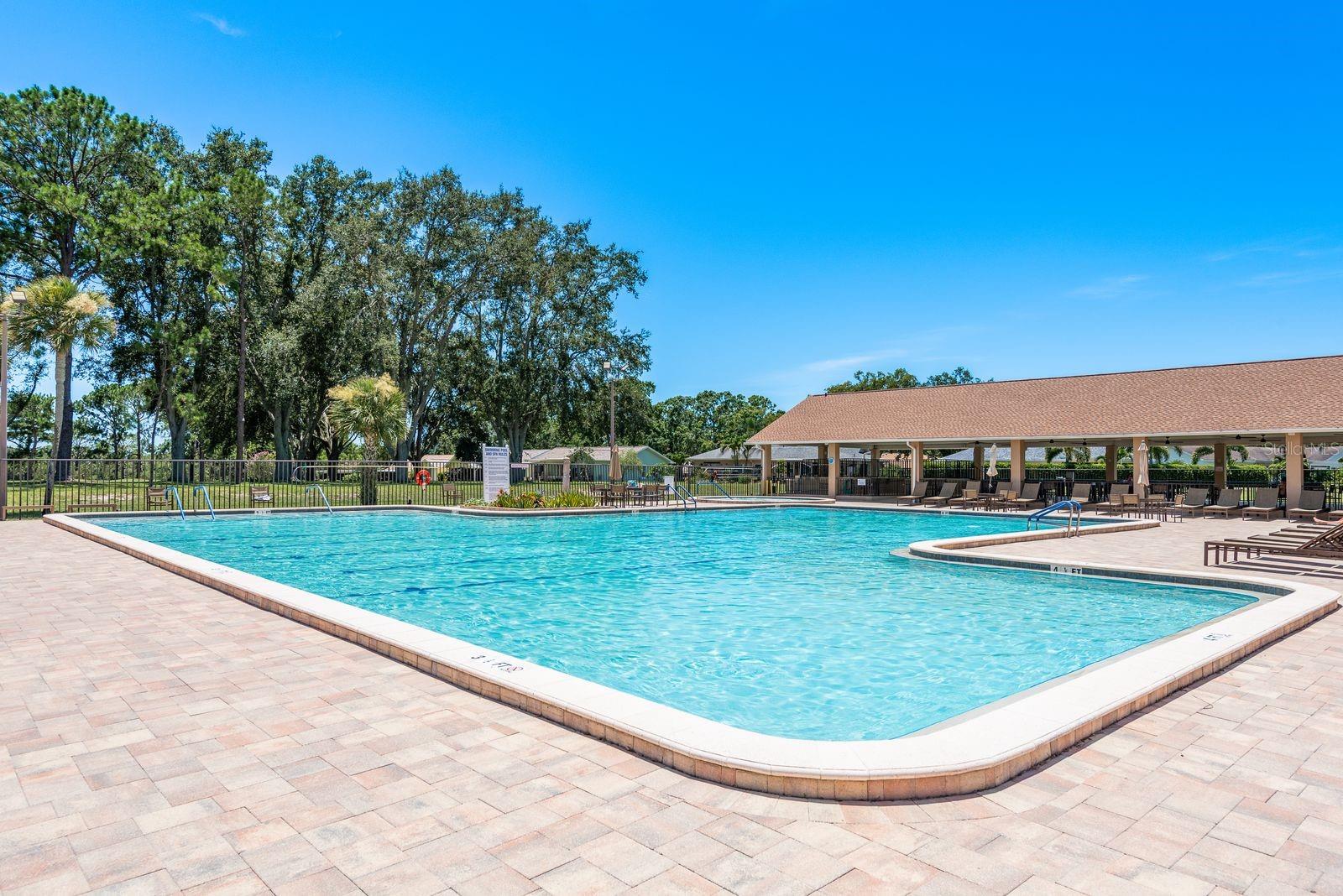 3127 MISSION GROVE DR #3127, PALM HARBOR, FL — photo 35
