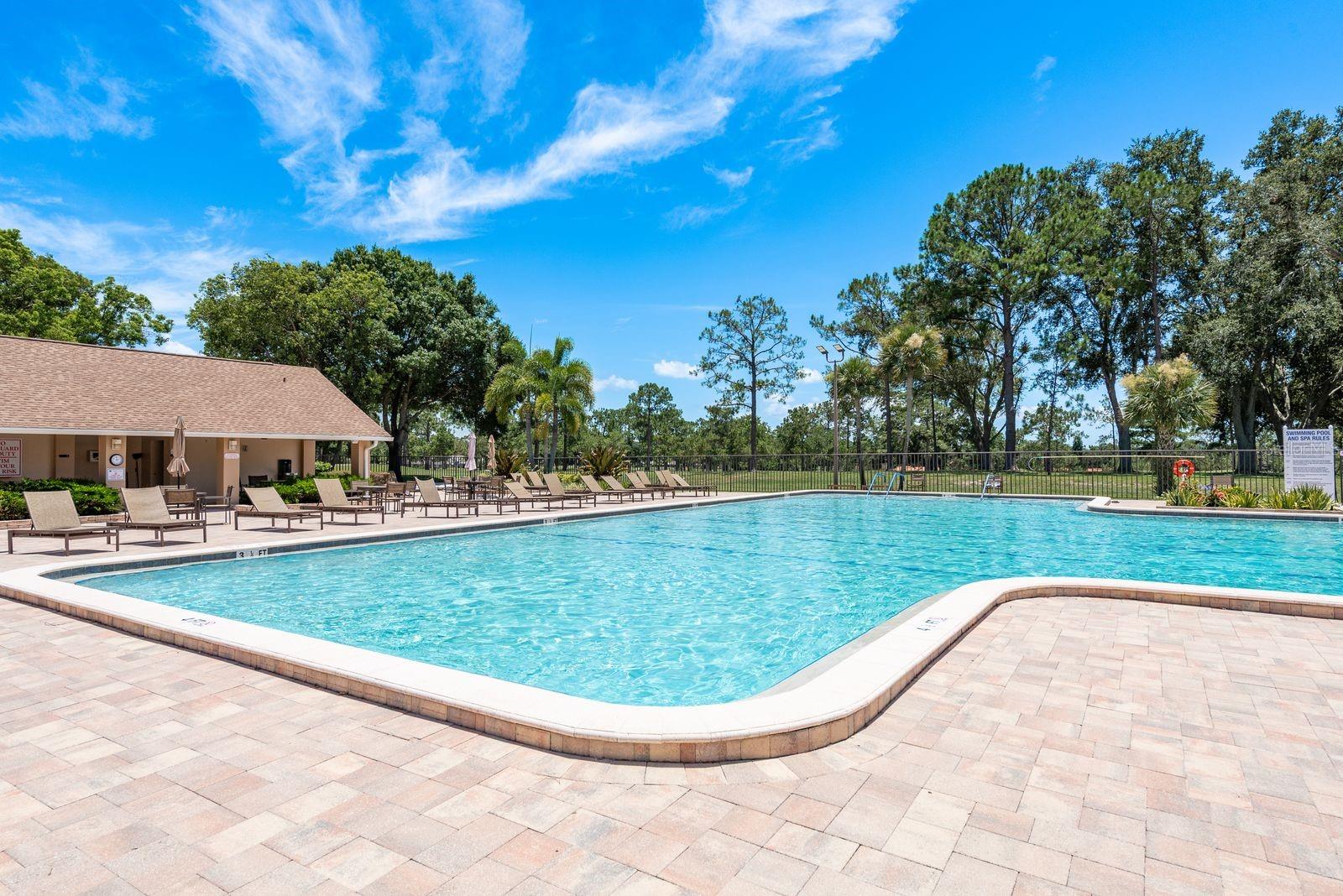 3127 MISSION GROVE DR #3127, PALM HARBOR, FL — photo 36