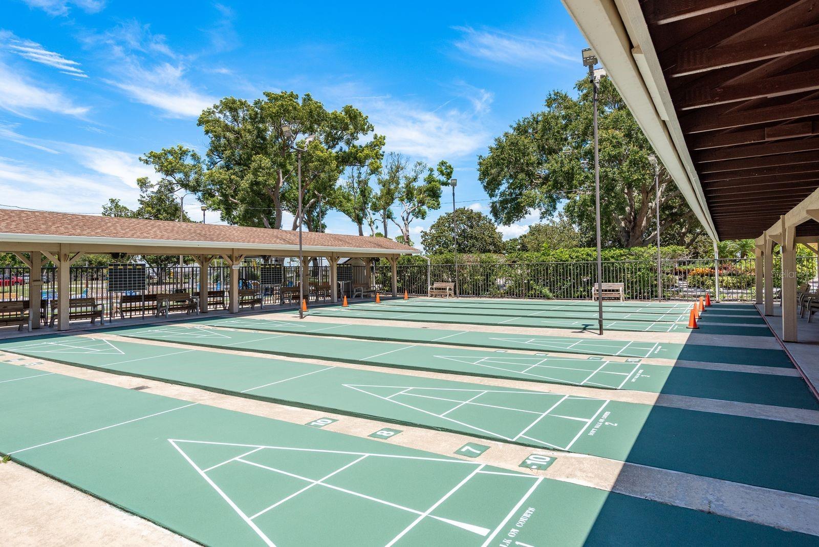 3127 MISSION GROVE DR #3127, PALM HARBOR, FL — photo 39